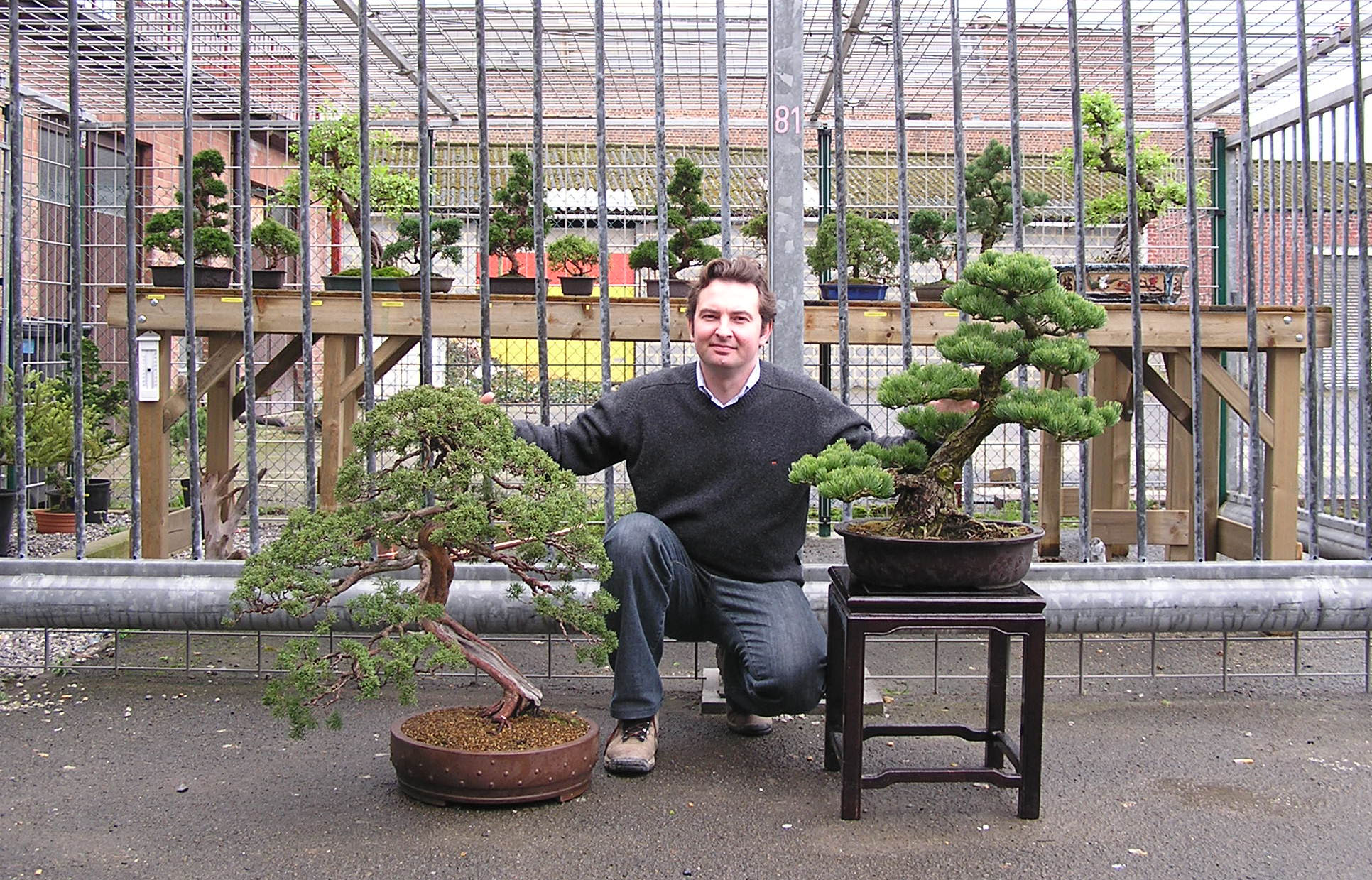 Ensemble de construction d'arbres de bonsaï pour Belgium