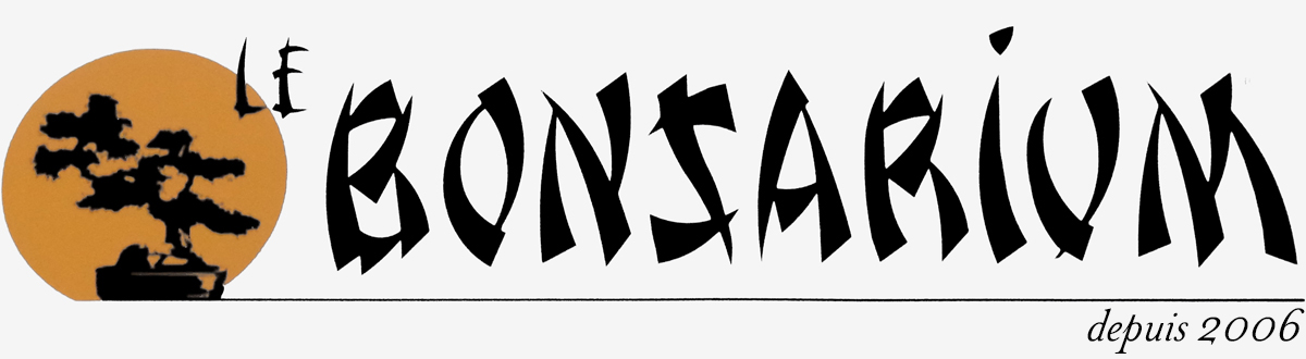 Logo Bonzai