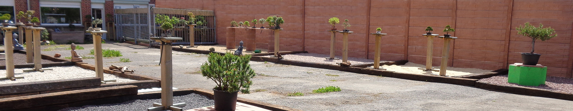 Image du Bonsarium
